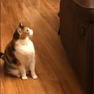 Meet your Posher, Robin